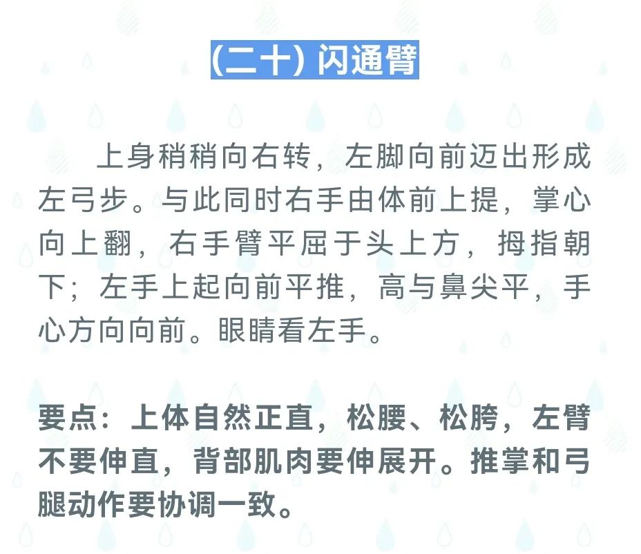 球派体育直播