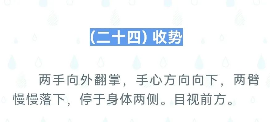 球派体育指定通道