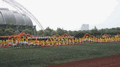 球派体育平台