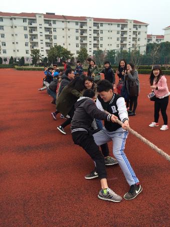 球派体育官方线路图片