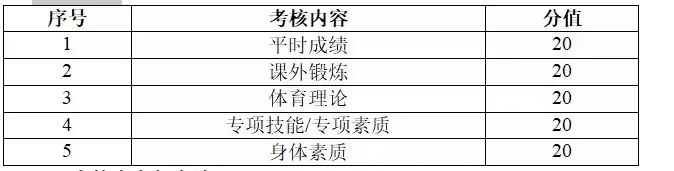 球派体育直播