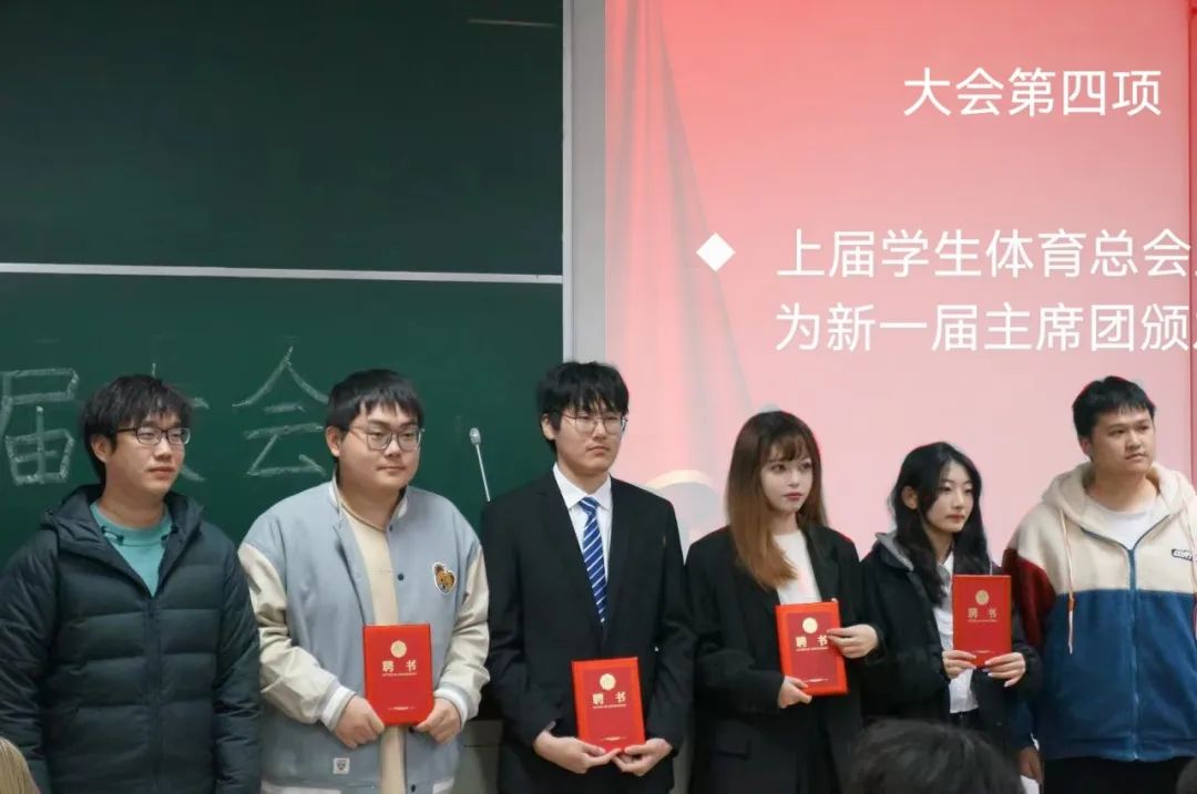 球派体育直播