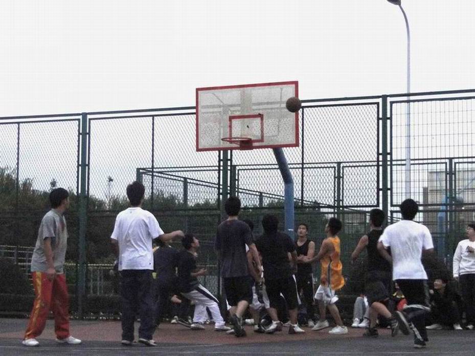 球派体育官方线路图片