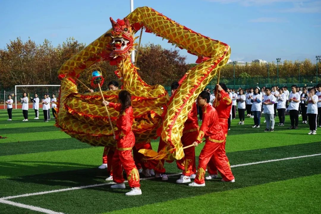 球派体育平台