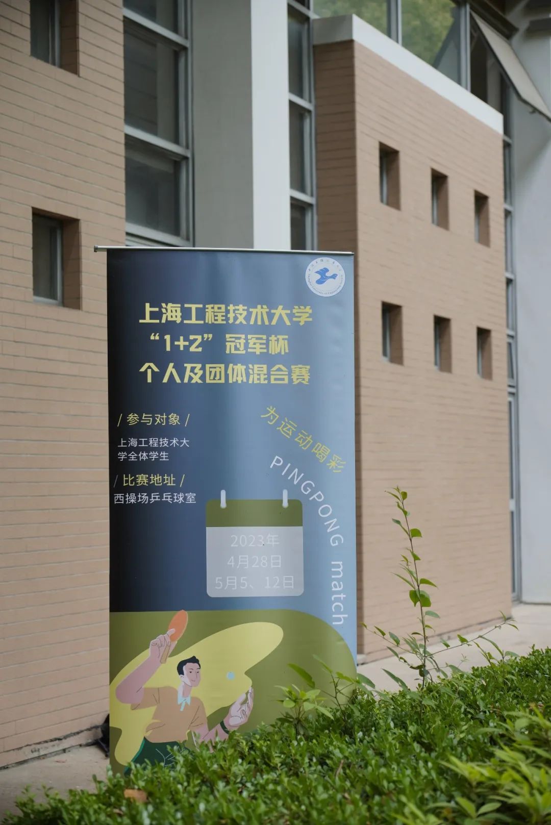 球派体育平台