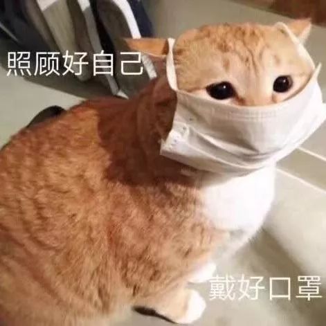 球派体育加速节点