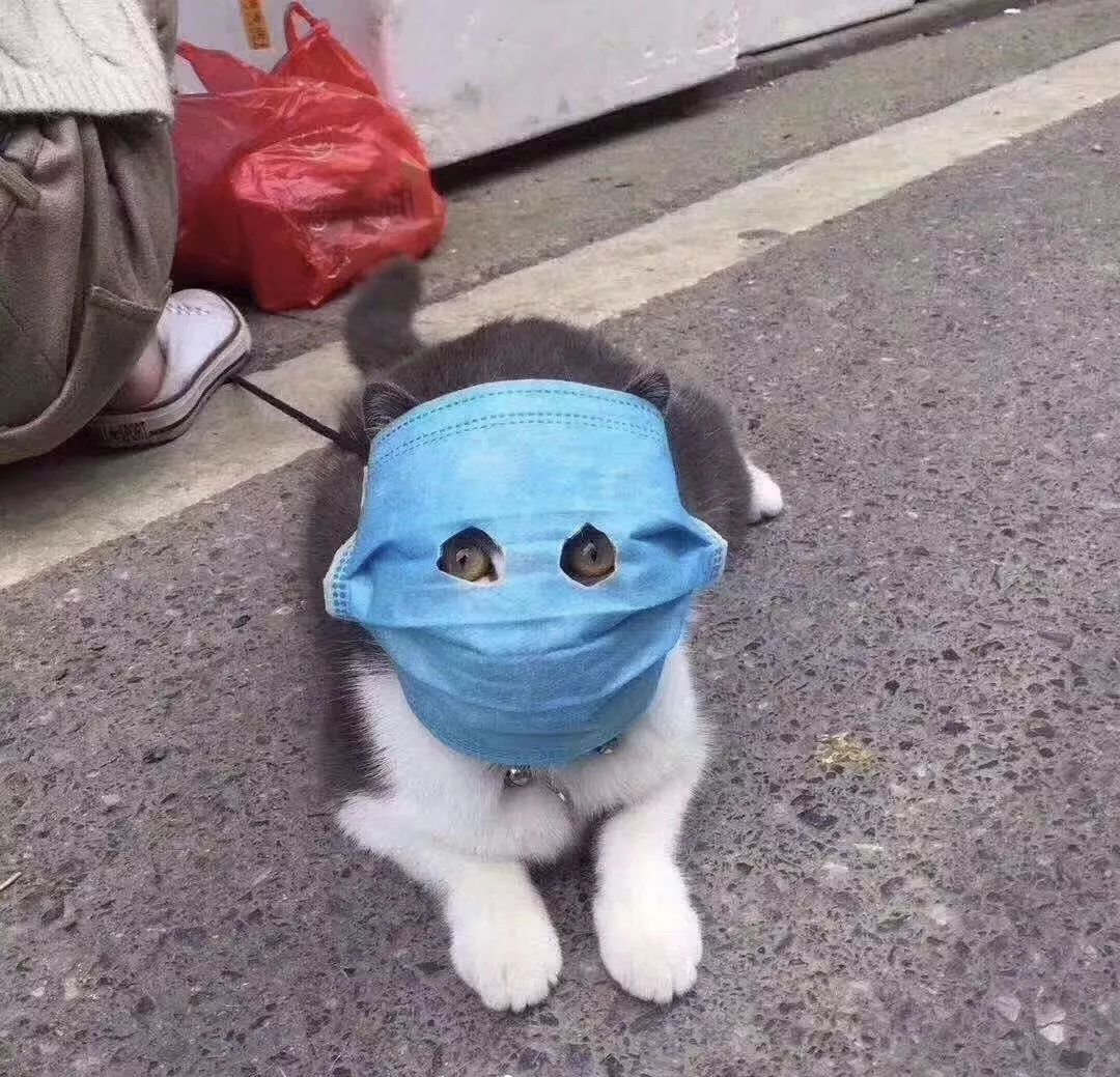球派体育稳定线路